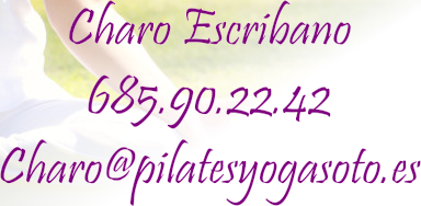 Telefono 685.90.22.42 Charo Escribano